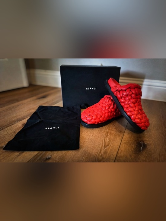Alanui Shoes - ALANUI Icon Interwoven Leather Mules EU 40 (US 10) Red Lux Designer $1,700 NWT